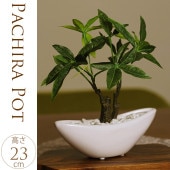 ¤�֥���ƥꥢ���ѥ���ݥåȡ�S������ �͹� ���տ�ʪ�ե��������꡼��/���ե���/�ե���������/�롼�ࡡ����ƥꥢ/���ե�/�������/���ߥơ������ץ���/��̳��/