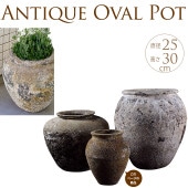 �ץ�󥿡� ȭ ���ˤ������²ִ���ѥƥ����٥� �礭���ӥ�ơ��� �緿/����ƥ����� ƫ��/����ȭ/���� ���տ�ʪ ������ʪ/�ץ�󥿡��ݥå�/�����ǥ˥�/�礭��/�ե��١���/����/