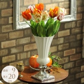 ������²�Υե��١��� S �ۥ磻�� �̲� ������ ƫ�� ��/���襤�� �ִ�/�ץ�󥿡��ݥå�/�衼���ԥ���/����/�������/����ƥꥢ/���쥬��� ͥ��/��åԥ� ̵����åԥ� ���ե� �ץ쥼��� ��������/