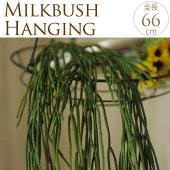 �ե��������꡼�� �ϥ󥮥� �ɳݤ� �ߥ륯�֥å���ϥ󥬡� 66cm  ¤�� ����ƥꥢ ���� �ǥ����ץ쥤 ������� ���� ���� ���� ��� ��ӥ� ��