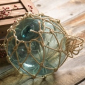 �����ǥ˥� ��ʪ ���饹 �⤭�� �ŷڤ��⤭�� �����Ԥ� ���դ� ����� ľ��30cm��50cm ����ƥ����� ���֥������/����/���� ���� ����/���ι�/�ųݤ���/���/