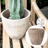 �緿 ȭ �ץ�󥿡� �ƥ饳�å� ���å� ľ��30cm �礭���ʥ�����/����/����ȭ/����ȥ��/���� �ޥ󥷥��/�Х륳�ˡ�/�󤻿���/�٥���/