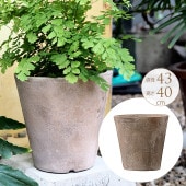 �緿 ȭ �ץ�󥿡� �ƥ饳�å� ����å� ľ��43cm �礭���ʥ�����/����/����ȭ/����ȥ��/���� �ޥ󥷥��/�Х륳�ˡ� ���� ����/�󤻿���/���տ�ʪ ���ܥƥ� ¿����ʪ/���� ����ƥ�����/