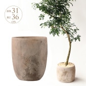 緿 ȭ ץ󥿡 ƥ饳å Ĵ¤ ȥå ľ31cm  礭 10 ʥ  ȭ 10ȭ ȥ  ޥ󥷥 Х륳ˡ 󤻿 ٥  ̵