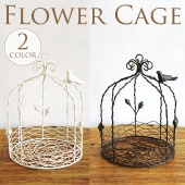 �����ܷ��ե��С��ɥ����� Ļ�����ץ�󥿡�/����ƥ�����/���ߡ����å�/�ϥ󥮥�/����/�����ǥ˥�/�����ǥ�/����ƥꥢ/�ե�������/