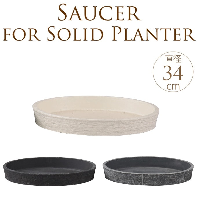 ���̥���ץ�ȭ���Ѽ��������ӥ��� �������� 34cm  ������ȭ/�ץ�󥿡�/����ץ�/����/����/�緿/����ƥꥢ�ݥå�/�������/�����ǥ˥�/