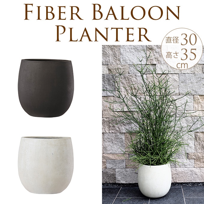 ����ȥ�󥹥ץ�󥿡����ݤ����礭����ľ��30cm ȭ �緿��ꤢ�� ���� �з�/�ץ�󥿡�/����ץ�/����ȭ/10��/��Υȡ���/����/�Х륳�ˡ�/�٥���/