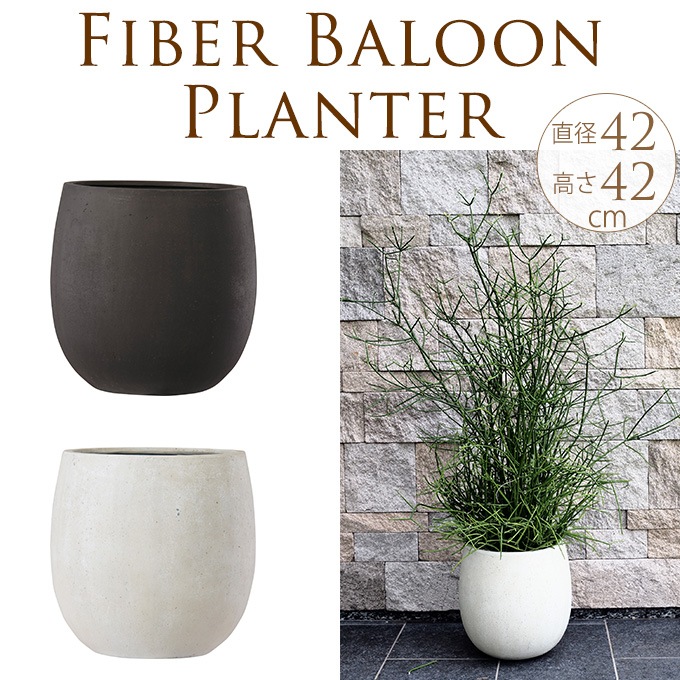 ȥ󥹥ץ󥿡ݤ礭ľ42cm ȭ 緿ꤢ/ץ󥿡/ץ/ȭ/14/Υȡ//Х륳ˡ/٥/