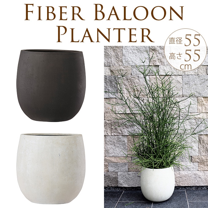 ����ȥ�󥹥ץ�󥿡����ݤ����礭����ľ��55cm ȭ �緿��ꤢ��/�ץ�󥿡�/����ץ�/����ȭ/18��/��Υȡ���/����/�Х륳�ˡ�/�٥���/