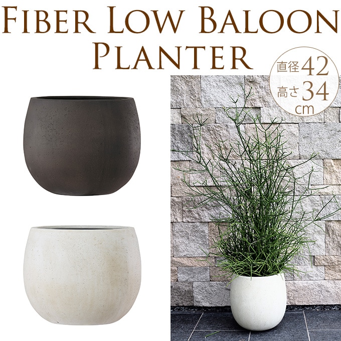 ȥ󥹥ץ󥿡ݤ礭ľ42cm ȭ 緿ꤢ/ץ󥿡/ץ/ȭ/14/Υȡ//Х륳ˡ/٥/