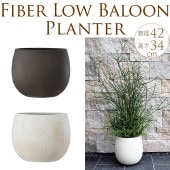 ����ȥ�󥹥����ץ�󥿡����ݤ����礭����ľ��42cm ȭ �緿��ꤢ��/�ץ�󥿡�/����ץ�/����ȭ/14��/��Υȡ���/����/�Х륳�ˡ�/�٥���/