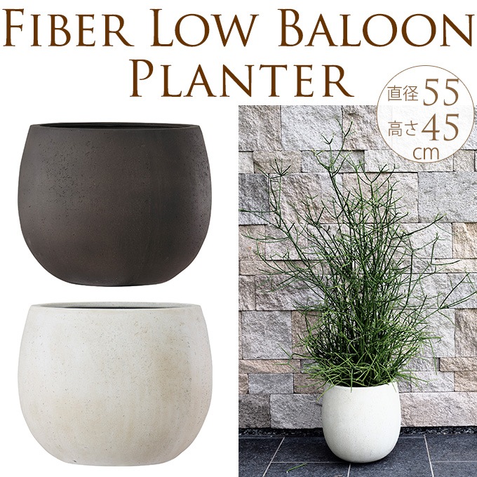 ����ȥ�󥹥����ץ�󥿡����ݤ����礭����ľ��55cm ȭ �緿��ꤢ��/�ץ�󥿡�/����ץ�/����ȭ/18��/��Υȡ���/����/�Х륳�ˡ�/�٥���/