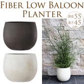 ����ȥ�󥹥����ץ�󥿡����ݤ����礭����ľ��55cm ȭ �緿��ꤢ��/�ץ�󥿡�/����ץ�/����ȭ/18��/��Υȡ���/����/�Х륳�ˡ�/�٥���/