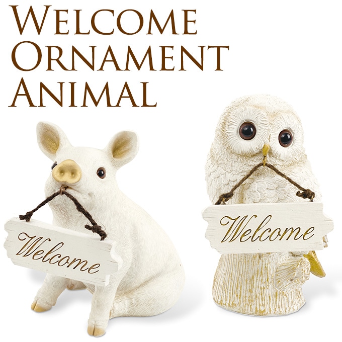 ��ʡ���򤤥��˥ޥ롡�ʥ֥����ե������� �����륫��ܡ��ɤ��зޤ� ưʪ/���� ����/���֥��� ��ʪ/���襤��/�������/�ץ졼��/�դ�����/�֤�/�����ʥ���/