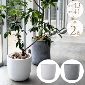 ���󥯥꡼�� ȭ ����ʤ��ޤޤ���� �饦��� ľ��43cm �ݤ� �����Ȳ��� �󤻿���/����ȭ ����ץ�/�ִ� �礭��/����ȥ��/�٥��� �Х륳�ˡ�/���� ���� ����/�٥��� ����/���տ�ʪ ���ܥƥ� ¿����ʪ/