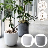 ���󥯥꡼�� ȭ ����ʤ��ޤޤ���� �饦��� ľ��51cm �礭���ץ�󥿡� �緿/����ȭ ����ץ�/�ִ� �礭��/����ȥ��/���� �ޥ󥷥��/�Х륳�ˡ�/�󤻿���/�٥���/