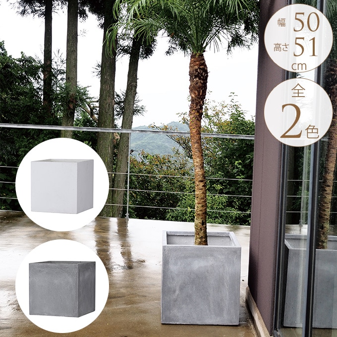 󥯥꡼ ȭ 塼 50 ץ󥿡 緿ȭ ץ/ //ȥ/ ޥ󥷥/Х륳ˡ/٥/տʪ ܥƥ ¿ʪ/