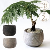 �ץ�󥿡� �緿 ȭ �礭�� ����ȭ ƫ��ե�å� �ܥ��뷿 ľ��23cm ���󥯥꡼�� �������ǾƤ� �������/���� ��ꤢ��/����ƥ�����/�礭��/�ʥ�����/���� ���� ����ƥꥢ/���տ�ʪ ���ܥƥ� ¿����ʪ/����/