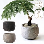 �ץ�󥿡� �緿 ȭ �礭�� ����ȭ ƫ�� �ե�å� �ܥ��뷿 ľ��32cm  ȭ �ƥ饳�å� �ǾƤ� ������� ���� ��ꤢ�� ����ƥ�����