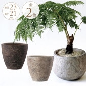 ȭ 緿 ƫ Ĵ¤ ץ󥿡 եå å ľ23cm outlet ȭƥ饳å/ǾƤ / ꤢ/ƥ/礭/ʥ/