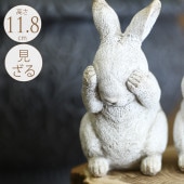 ����ƥꥢ���� ������� �����ǥ󻨲� ����ƥ����� ������ ������ �ۥ磻�� 1�� �����ǥ� ��ʪ ���� ����ƥꥢ  �� �ꥢ�� ���֥���