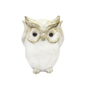 ����ƥ����� ʹ������ �ե����� �ۥ磻�� �����ǥ� ��ʪ�С��� Ļ �դ�����/���襤��/����/ưʪ/����/