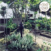 ������ �����ǥ˥� �ѹ� �ɡ��� �����ǥ󥢡���  �����ǥ� �����Ȥ������ ���� ���� �ե���/�Х� ������������ ��/����/���󥰥�å���/���� ����/