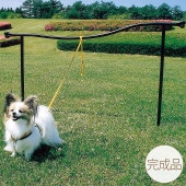 �����¿� ��ͳ���ԤƤ� �������� �ɥå��������� �ݡ��� �ɥå���� �Ե����� ���� Ŵ��/�꡼�� �����Ĥ� ��������/�� ������ �Ԥ� �Ԥ� �ޥ�/�������/