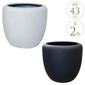 礭 ȭ ץ饹å  ץ륫顼 ץȭ 󥵥 ľ32cm 緿 ץ󥿡 ȭ/ꤢ/ ڤ /礭/
