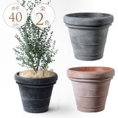 ץ󥿡 緿 ȭ 礭 ץ饹å  ץȭ ܥɡ ľ40cm  󥯥꡼ȿȭ /ꤢ/ڤ/  /ץ/տʪ ʪ ܥƥ ¿ʪ/ ƥ ӥơ/