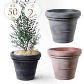 ץ󥿡 緿 ȭ 礭 ȭ ץ饹å  ץȭ ܥɡ ľ50cm ȭ ꤢ/ڤ /  /̲/տʪ  ʪ ܥƥ ¿ʪ/󥯥꡼ / ƥ ӥơ/