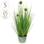 ¤�� �ݥ�ݥ󥰥饹 �ݥå� S 57cm ���꡼�� �ե��������꡼�󥤥�ƥꥢ/������� ¤�֥ݥå�/���꡼��/���� ����/