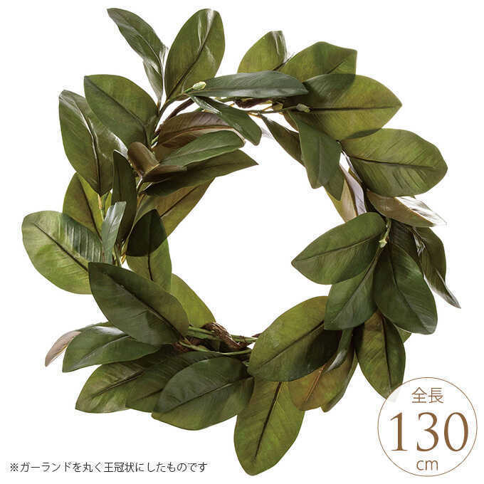 ¤�� ��ʪ �� �ޥ��Υꥢ ��������  ���꡼�� �ե��������꡼�󥤥�ƥꥢ/������� ���� �в�/����/