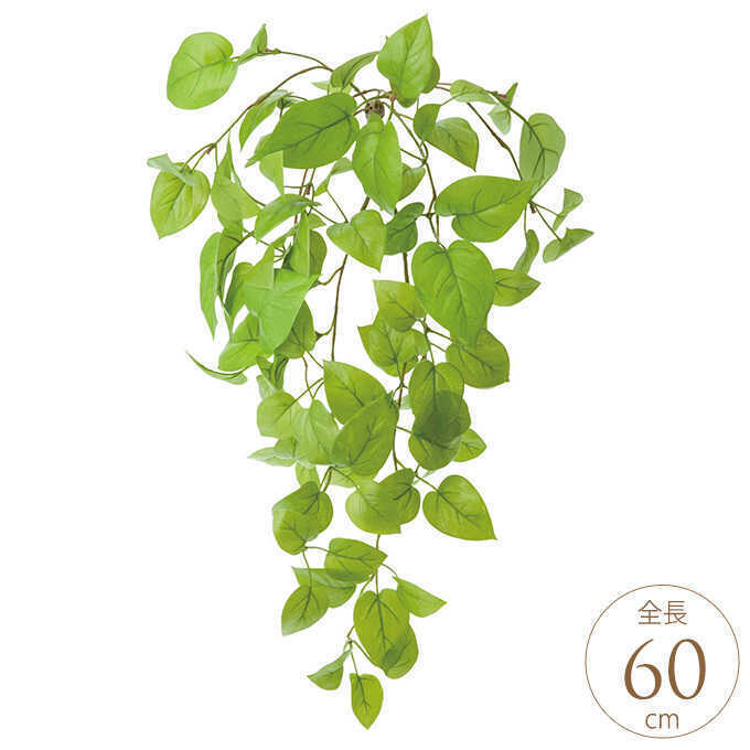 ¤ ʪ  饤ݥȥ֥å 饤ȥ꡼ ե꡼󥤥ƥꥢ/  в/տʪ ե/ݥȥ ꥢ/ƥꥢ꡼/ɥ꡼/꡼󥤥ƥꥢ/