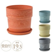 ץ󥿡  ץ饹å ȭ  ץ ץȭ 顼 󥰥 ľ19.5cm  ȭ ꤢ դ   ڤ