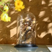 �ǥ����ץ쥤 �ݥꥫ���ܥ͡��� �ɡ��෿���դ� �⤵27cm ���ˤ���Ʃ��/����/�ɡ���/���ꥢ/���쥯����󥱡���/���饹�ɡ���/�����ץ��� �ƥ�ꥦ��/���쥯�����ɡ���/�ɥ饤�ե� �ץꥶ���֥ɥե�/