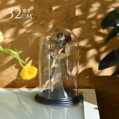 ǥץ쥤 ݥꥫܥ͡ ɡ෿դ ⤵32cm ˤƩ//ɡ/ꥢ/쥯󥱡/饹ɡ/ץ ƥꥦ/쥯ɡ/ɥ饤ե ץꥶ֥ɥե/