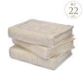 ǥ󻨲 ե  ֥å ⤵22cm ܥ꡼ ץ󥿡 ȭ/ƥ 饷å/衼å/ե ե/ǥ˥/   //ʥ /