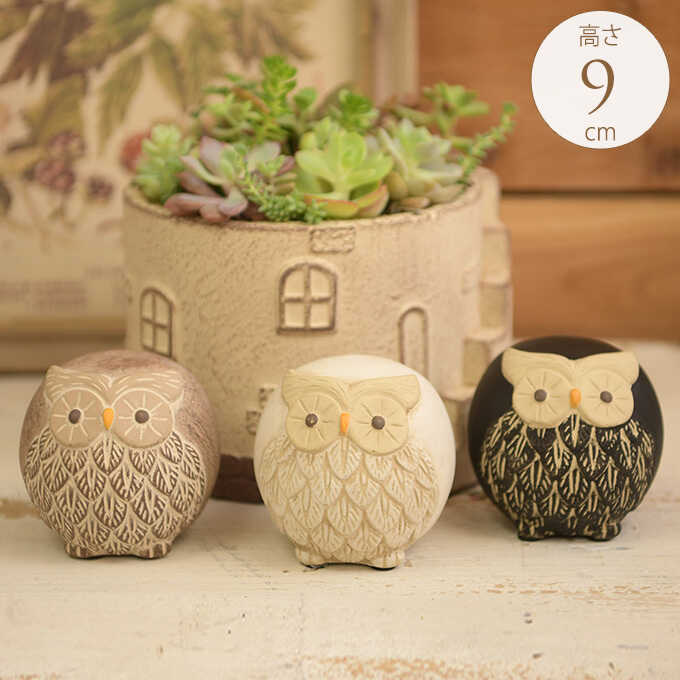 ǥ󻨲  ֥ ޤޤե ʪ襤/ƥꥢ//ե//ݤ//ﵯ/