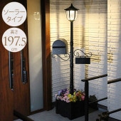 ����ڤ䤫 �ͳѤ��ץ�󥿡��դ����� �ݥ��� �ץ졼���դ�  �����顼�饤�� ������ ������ ���� LED�饤�� ���� ��������