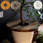 Mash �ޥå��� �ץ�󥿡��ơ��֥� ŷ����  �������� 30cm �ץ��ȥơ��֥� ŷ�ĥ����ɥơ��֥� �����ҡ��ơ��֥�/�� ���� ���å�/���� ȭ���С� ȭ/�ޥ����/�ץ�󥿡��ܥå���/���տ�ʪ ���� ����/�������/�ڥåȤ��������ɻ�/