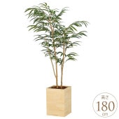 �ե��������꡼�� ȭ���� �緿 ���åɥܥå��� ���祦�ʥ󥴥� 1.8m �͹� ���տ�ʪ ������ ����ƥꥢ ���꡼�� ������� ����