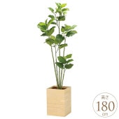 �ե��������꡼�� ȭ���� �緿 ���åɥܥå��� ����٥顼�� 1.8m �͹� ���տ�ʪ ������ ����ƥꥢ ���꡼�� ������� ����