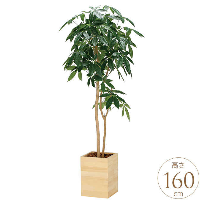 光触媒　人工観葉植物　フェイクグリーン　ウッドボックスパキラ1.0m フェイクグリーン 鉢植え 大型 ウッドボックスパキラ 1.6m 人工 観葉
