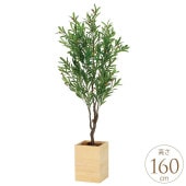 �ե��������꡼�� ȭ���� �緿 ���åɥܥå��� ���꡼�� 1.6m �͹� ���տ�ʪ ������ ����ƥꥢ ���꡼�� ������� ����