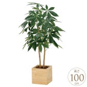 �ե��������꡼�� ȭ���� �緿 ���åɥܥå��� �ѥ��� 1m �͹� ���տ�ʪ ������ ����ƥꥢ ���꡼�� ������� ����