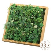 �ե��������꡼�� �ɳݤ� �� ���åɥܥå��� �ɾ��� ����ƥꥢ �̲� ������� �͹� ���տ�ʪ ���꡼�� ¤�� ���� �� ���� ��ӥ�