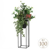 �ե��������꡼�� ȭ���� �礭�� ���տ�ʪ ȭ �������󥹥���� �ץߥ� 1m ������ ����ƥꥢ���꡼�� �緿 ���ե���