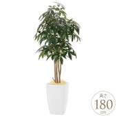 �ե��������꡼�� ȭ���� �礭�� ���տ�ʪ ȭ �����Х󥹥����� �ѥ��� 1.8m ������ ����ƥꥢ���꡼�� �緿 ���ե���