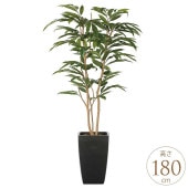 �ե��������꡼�� ȭ���� �礭�� ���տ�ʪ ȭ �����Х󥹥����� ���ॹ�ƥ��С����� 1.8m ������ ����ƥꥢ���꡼�� �緿 ���ե���